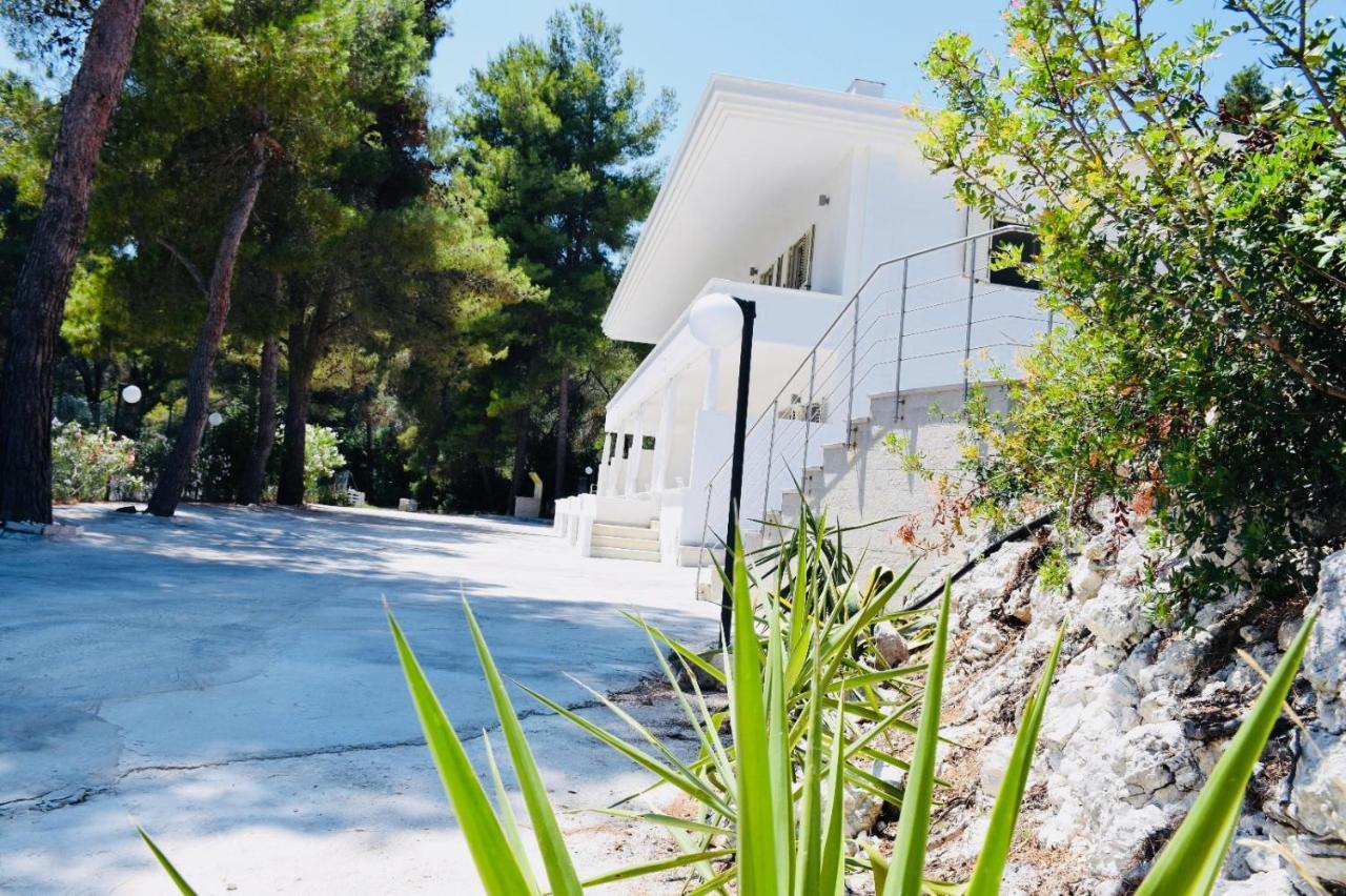 פסקיצ'י Petra Maris B&B מראה חיצוני תמונה